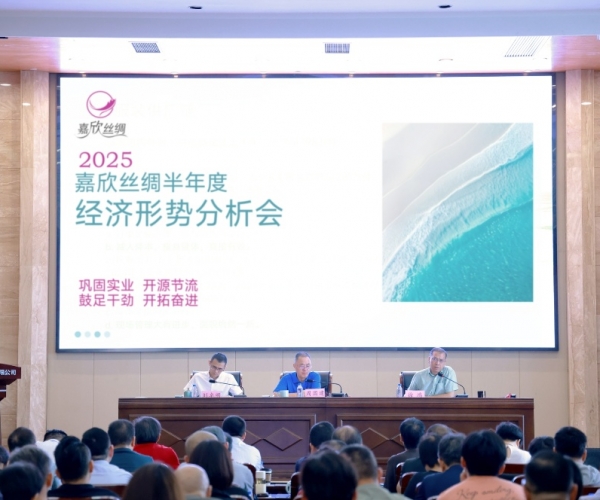 九游老哥必备的交流社区丝绸2025半年度经济形势剖析会顺遂召开